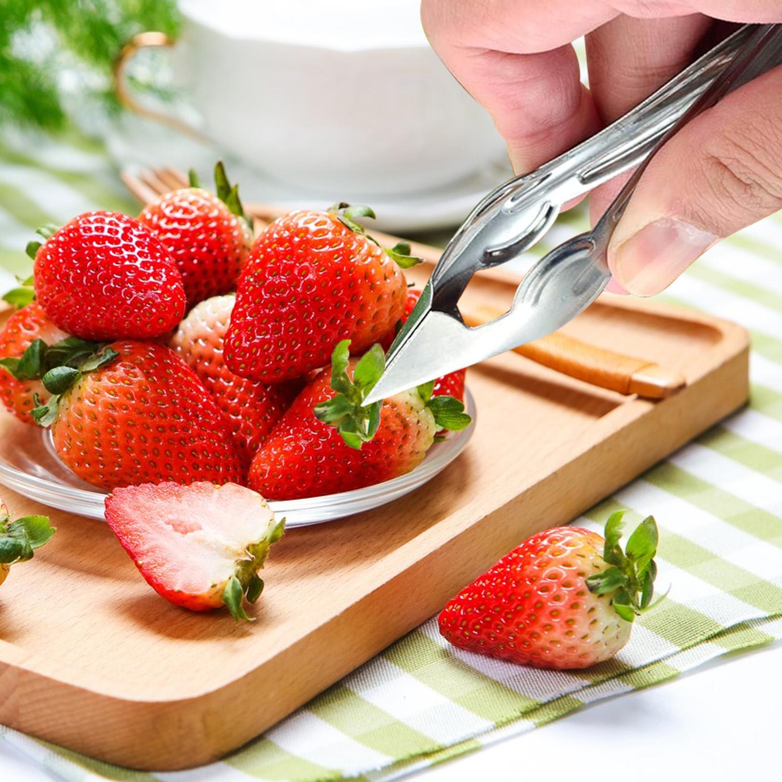 果物と野菜の茎取り器 ステンレス製フルーツ芯抜き器 パイナッ - Kitchen Gadgets Dropshipping のレビューと価格
