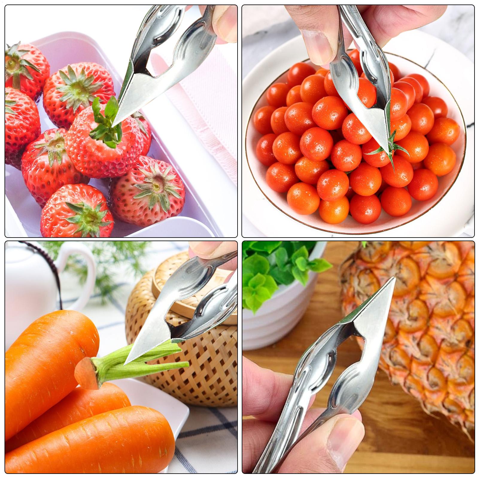 果物と野菜の茎取り器 ステンレス製フルーツ芯抜き器 パイナッ - Kitchen Gadgets Dropshipping のレビューと価格